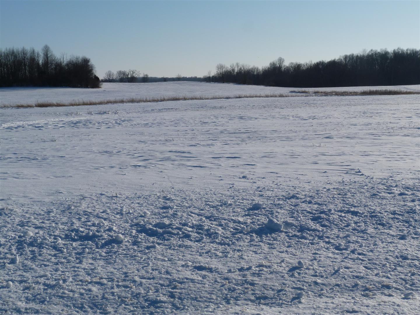 0 Ford Road, Unit 1 St. Paris, OH 43072 - Photo 2 of 8