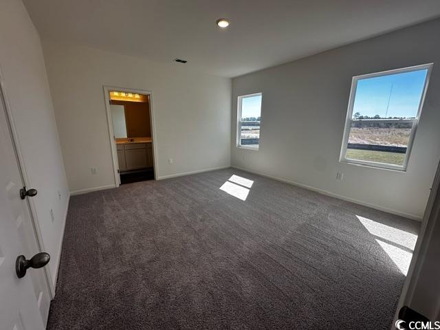 669 Castillo Drive Loris, SC 29569 - Photo 10 of 14