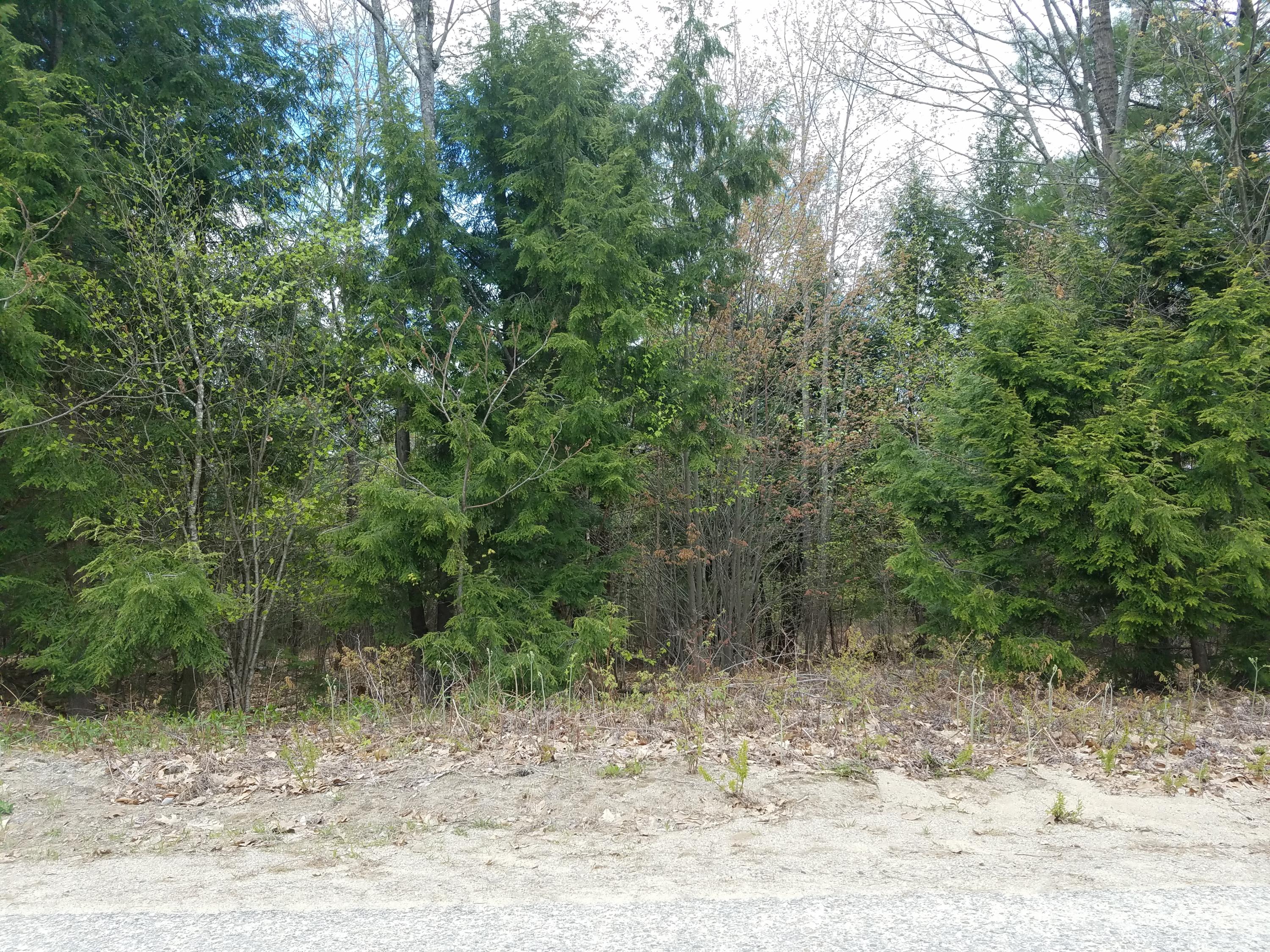 Lot 10 Diffin Road Oxford, ME 04270 - Photo 4 of 4 20190518_115644