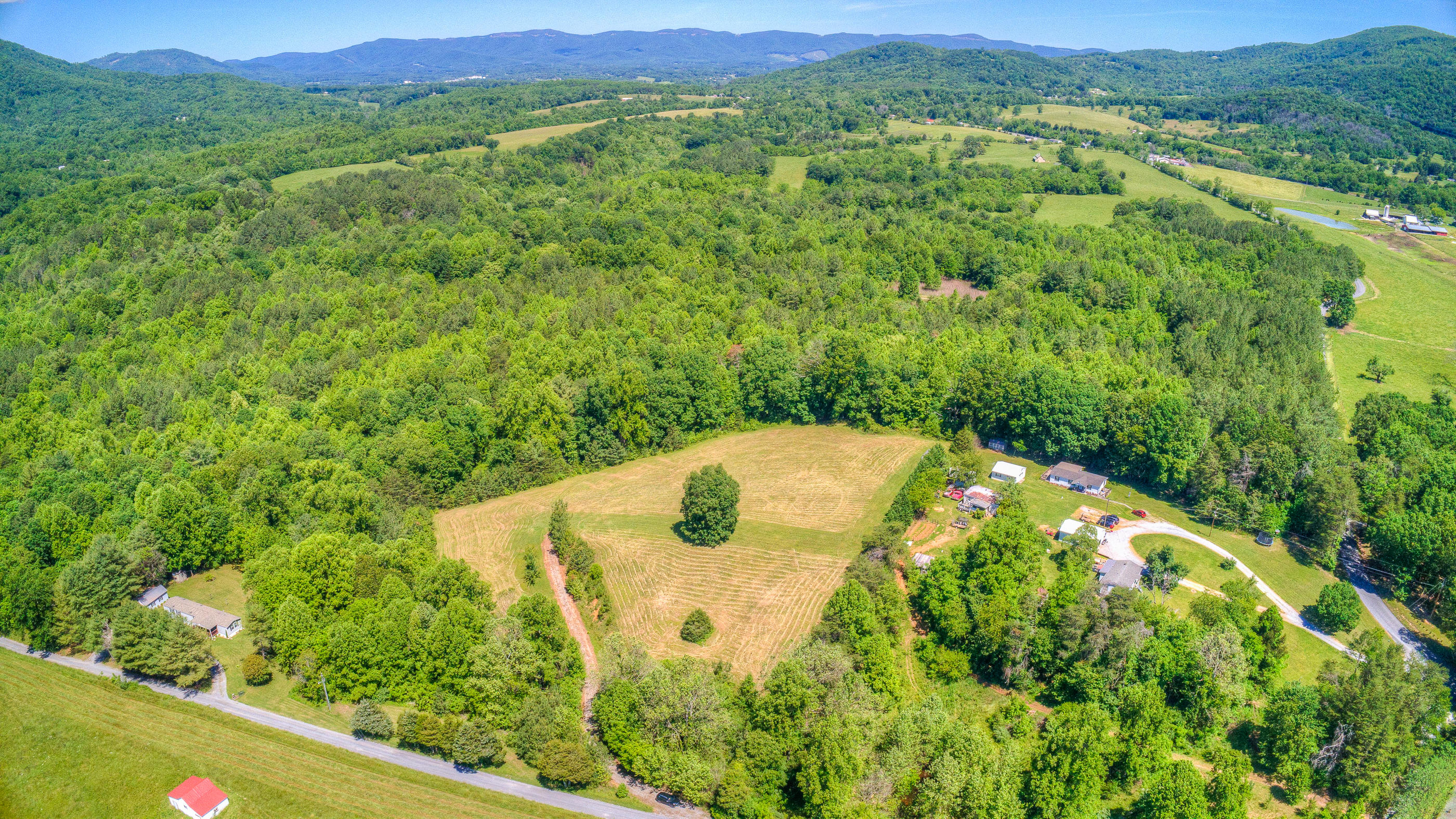 0 Foster Road Thaxton, VA 24174 - Photo 8 of 10 a view of a lush green field with some houses in the background