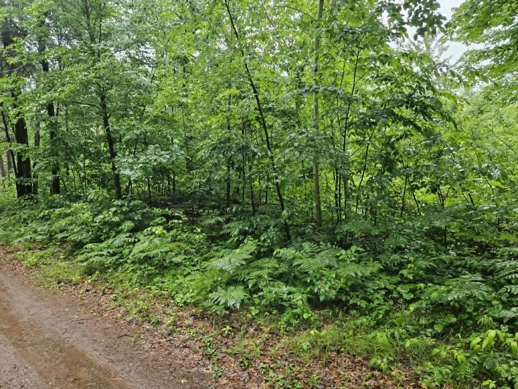 Lot 3 Hilly Lane Spooner, WI 54801 - Photo 4 of 4