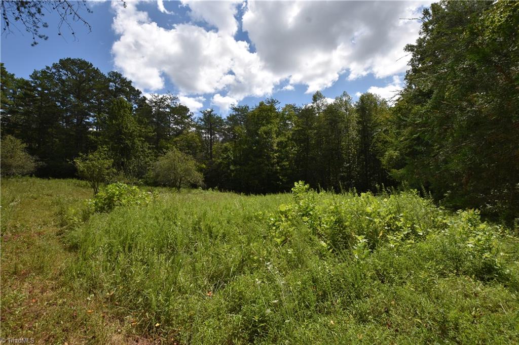 3341 Dal Road East Bend, NC 27018 - Photo 16 of 30 Gallery Image 16