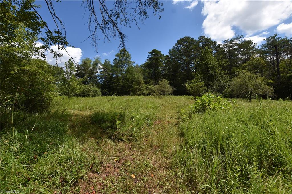 3341 Dal Road East Bend, NC 27018 - Photo 17 of 30 Gallery Image 17