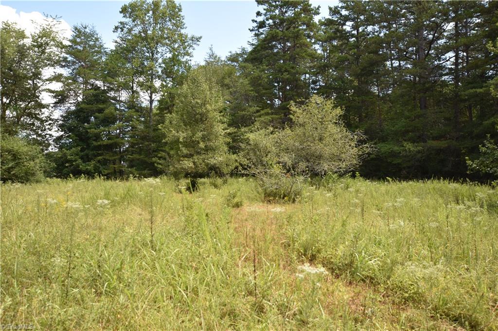 3341 Dal Road East Bend, NC 27018 - Photo 18 of 30 Gallery Image 18