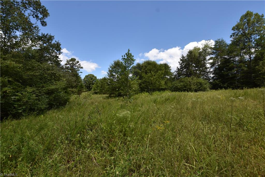 3341 Dal Road East Bend, NC 27018 - Photo 19 of 30 Gallery Image 19
