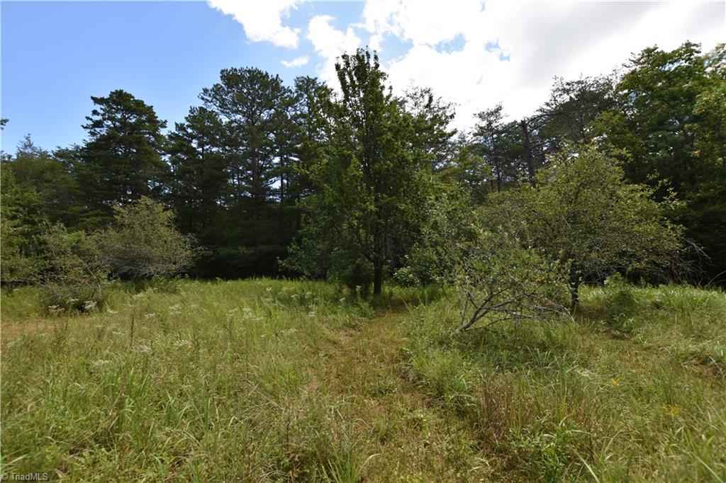 3341 Dal Road East Bend, NC 27018 - Photo 20 of 30 Gallery Image 20