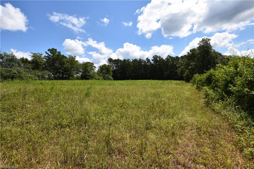 3341 Dal Road East Bend, NC 27018 - Photo 22 of 30 Gallery Image 22