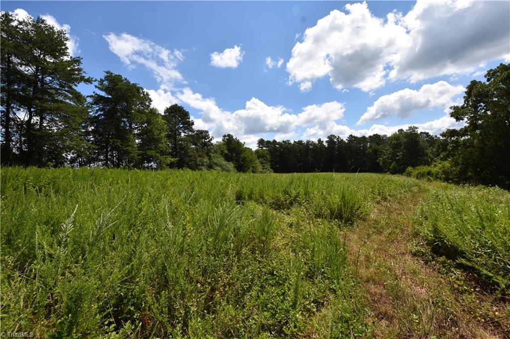 3341 Dal Road East Bend, NC 27018 - Photo 23 of 30 Gallery Image 23
