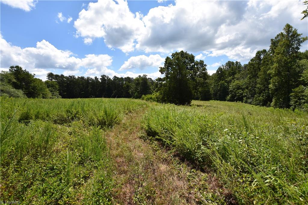 3341 Dal Road East Bend, NC 27018 - Photo 24 of 30 Gallery Image 24