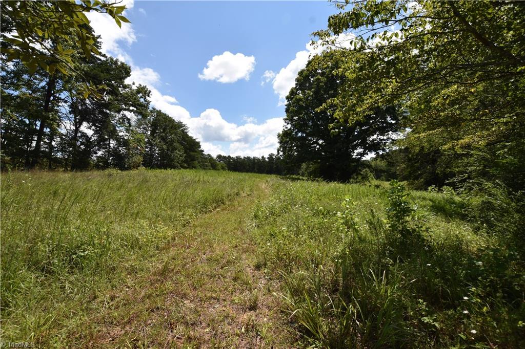 3341 Dal Road East Bend, NC 27018 - Photo 25 of 30 Gallery Image 25