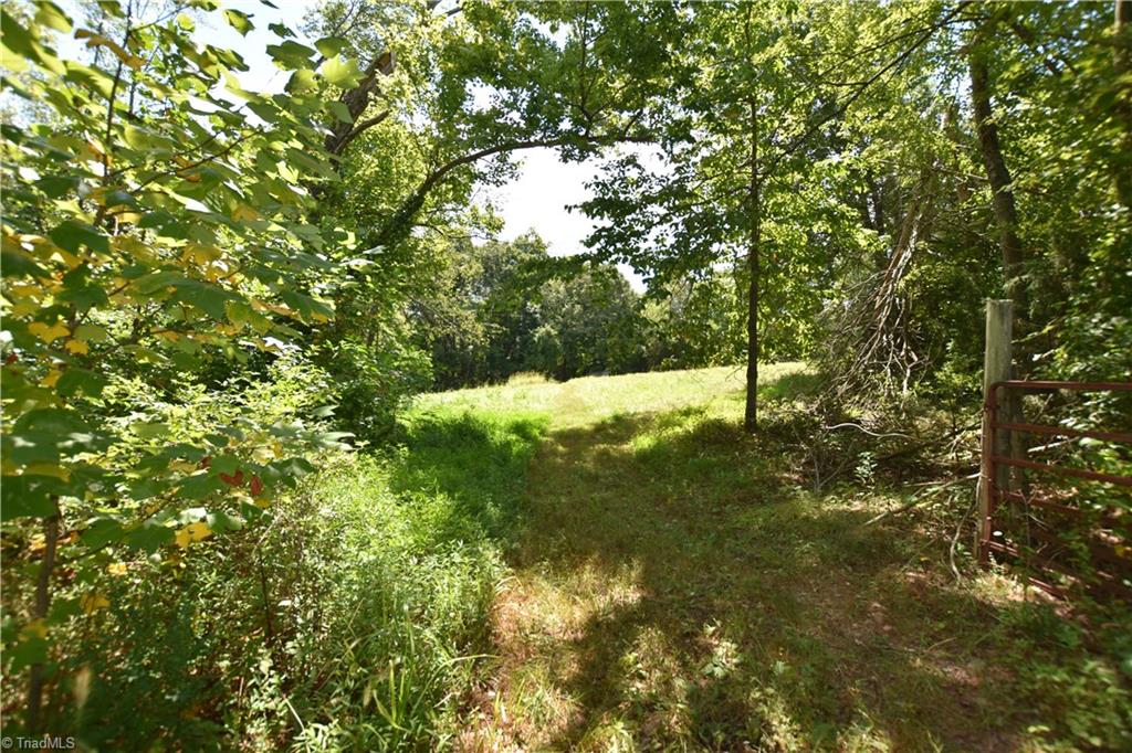 3341 Dal Road East Bend, NC 27018 - Photo 26 of 30 Gallery Image 26