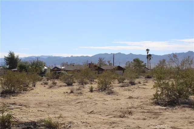 a view of a dry yard with lots of bushes