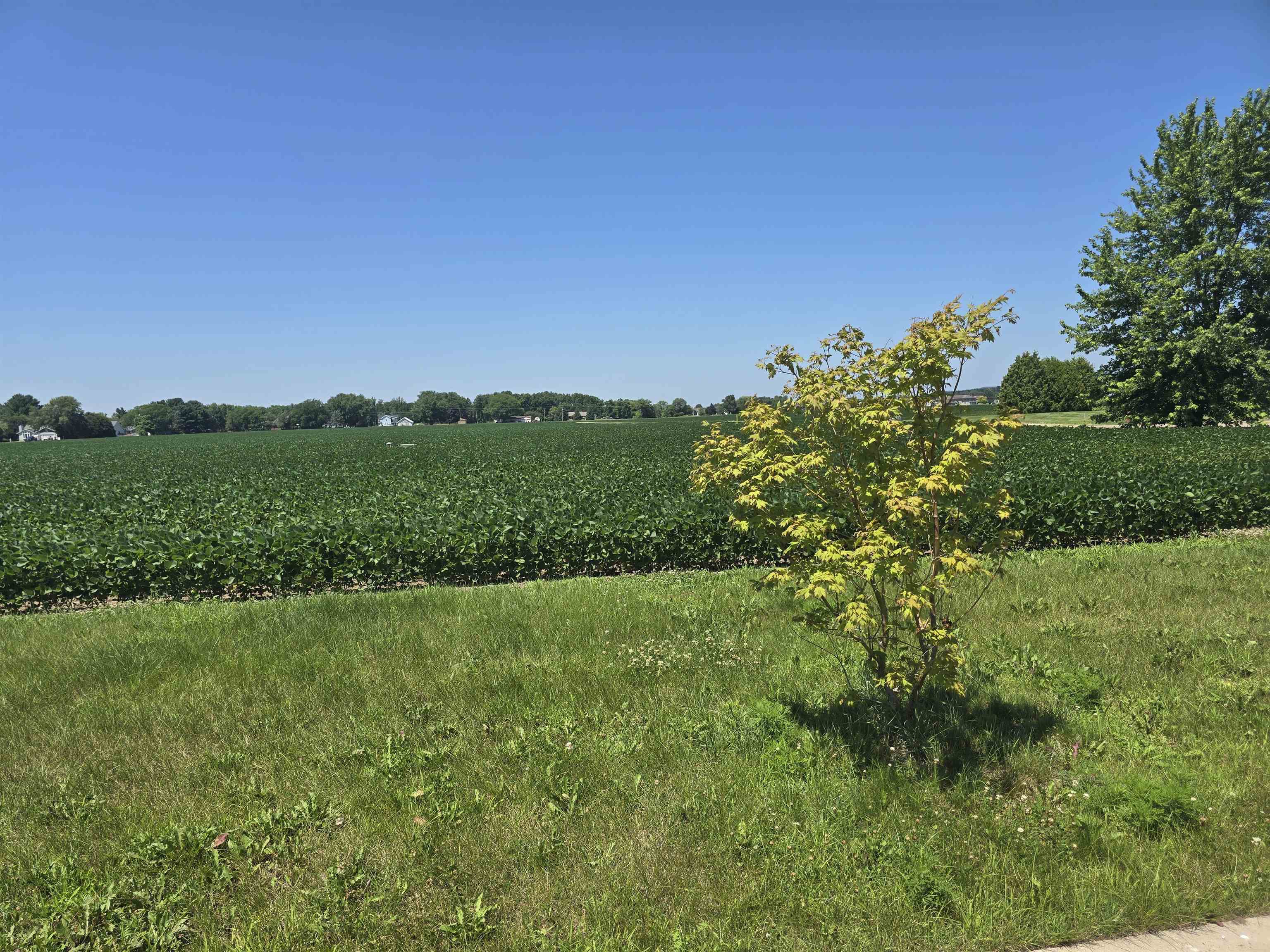Lot 63 Worcester St Spring Green Spring Green, WI 53588 - Photo 8 of 9
