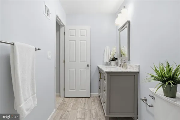 a bathroom with a sink a mirror and a potted plant