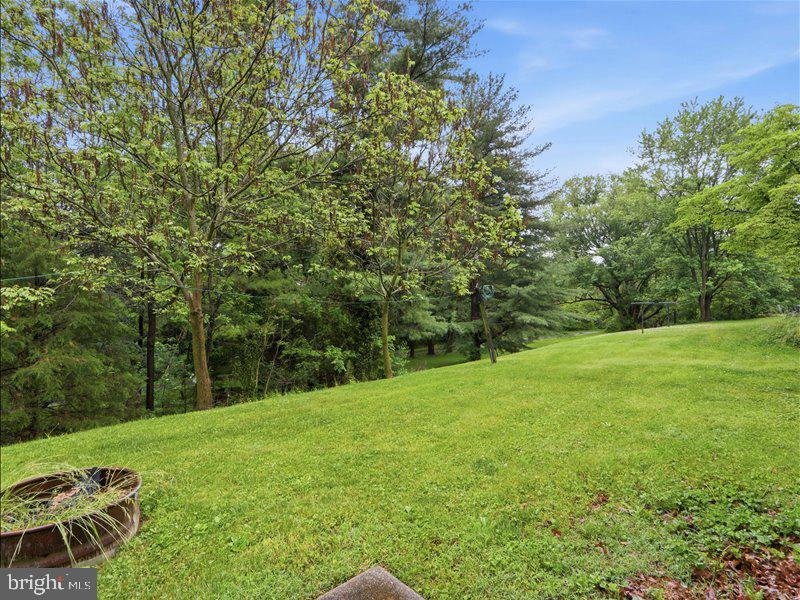 112 Locust Court Middletown, MD 21769 - Photo 31 of 33
