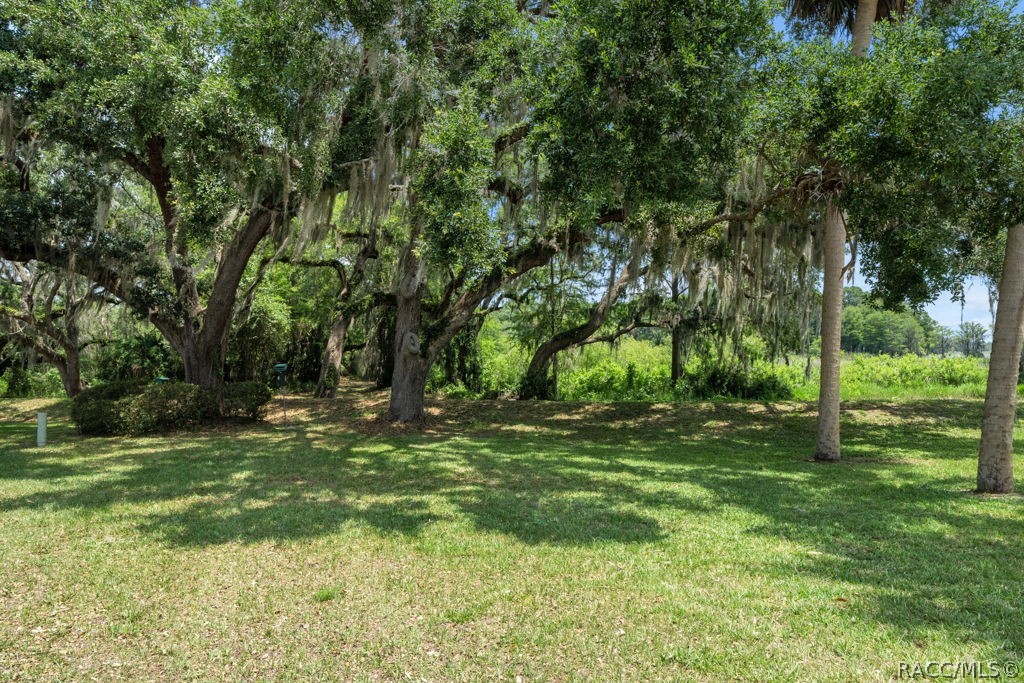 1304 Siesta Terrace Inverness, FL 34450 - Photo 37 of 46