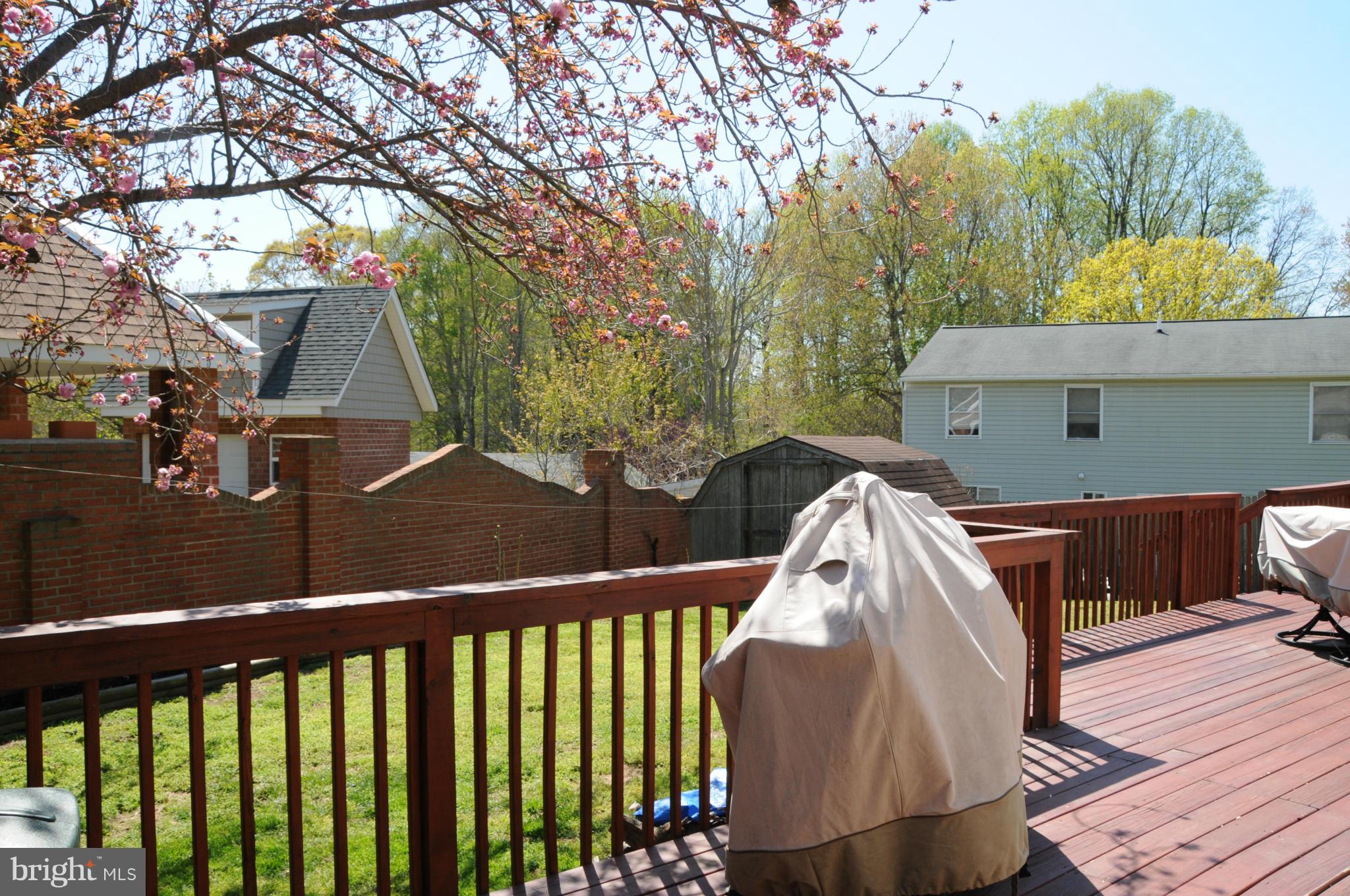 6630 Old Bayside Road Chesapeake Beach, MD 20732 - Photo 13 of 13 Exterior (Rear)