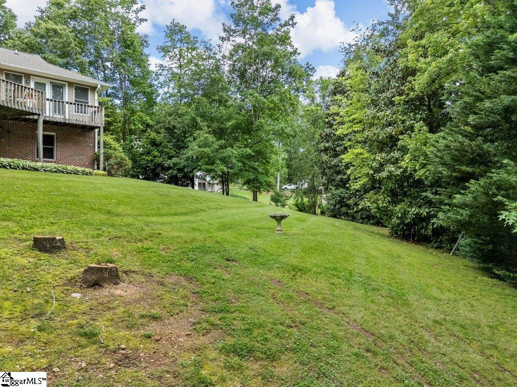 208 West Durham Street Landrum, SC 29356 - Photo 34 of 44