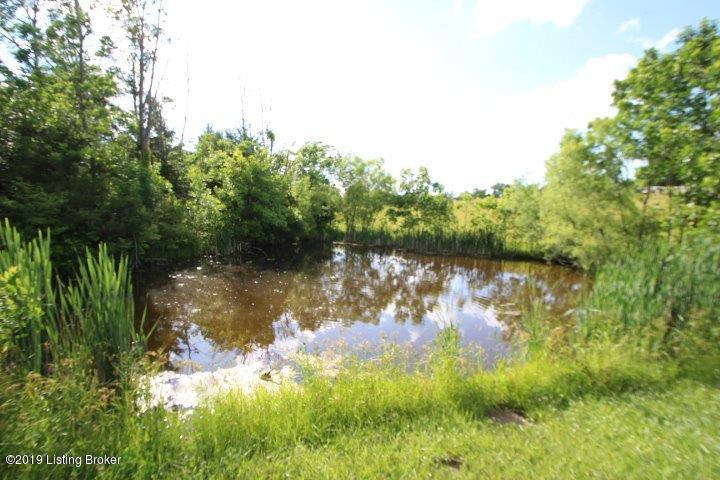 1225 Anderson City Road Lawrenceburg, KY 40342 - Photo 20 of 43 20