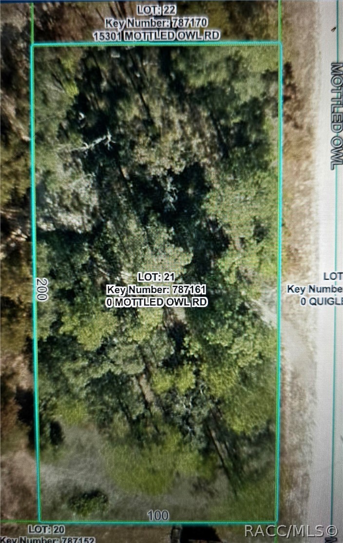 15281 Mottled Owl Road Weeki Wachee, FL 34614 - Photo 1 of 4 Gallery Image 1