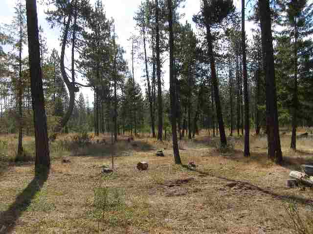 4321 Diekman Way Springdale, WA 99173 - Photo 9 of 9 Gallery Image 9