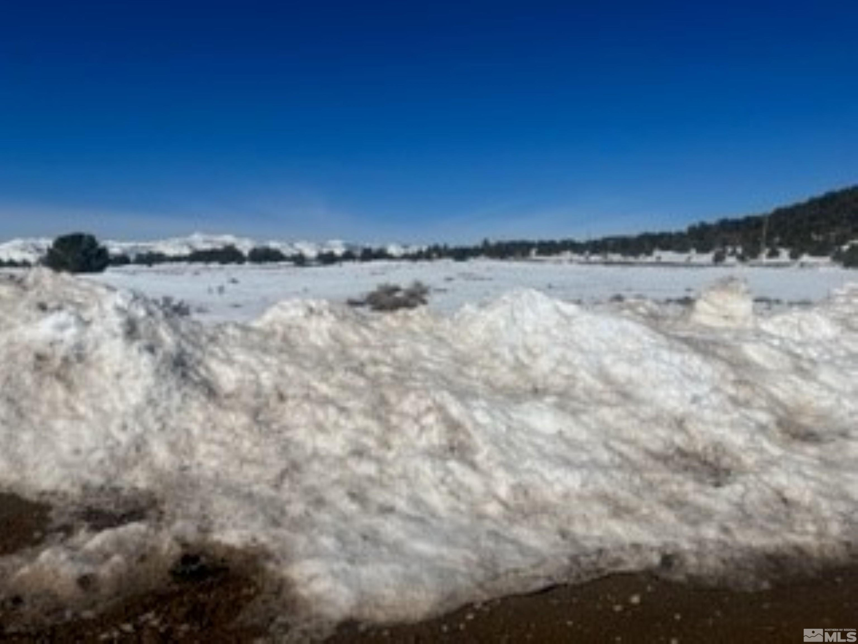 140 Toll Road Reno, NV 89521 - Photo 5 of 5 a view of snow on the field