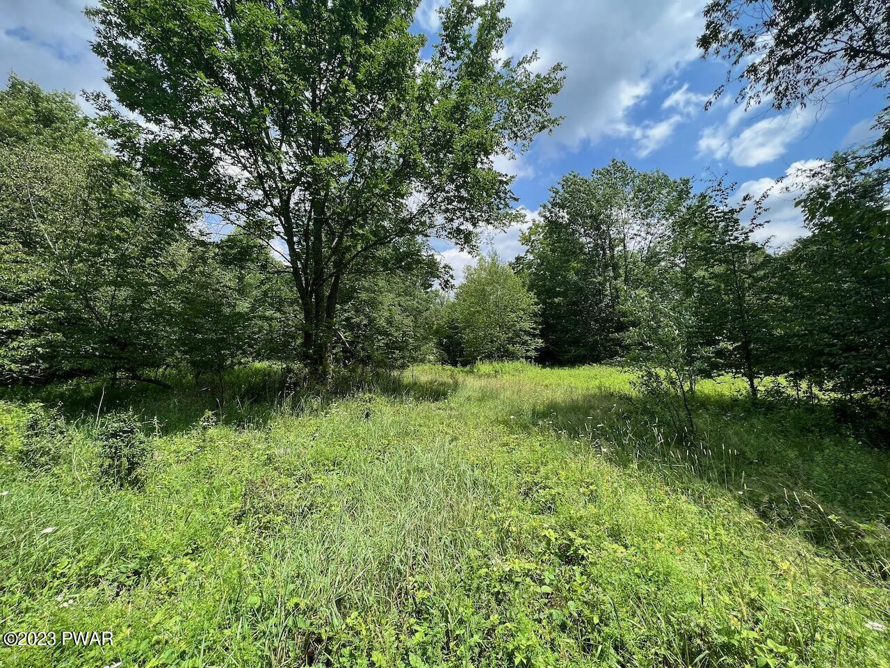 Schuman Road Damascus, PA 18415 - Photo 4 of 19