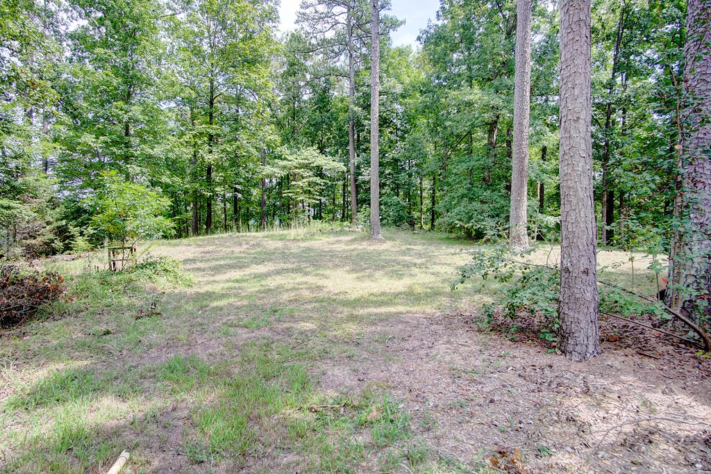 481 Leonard Bridge Road Chatsworth, GA 30705 - Photo 46 of 60 Gallery Image 46