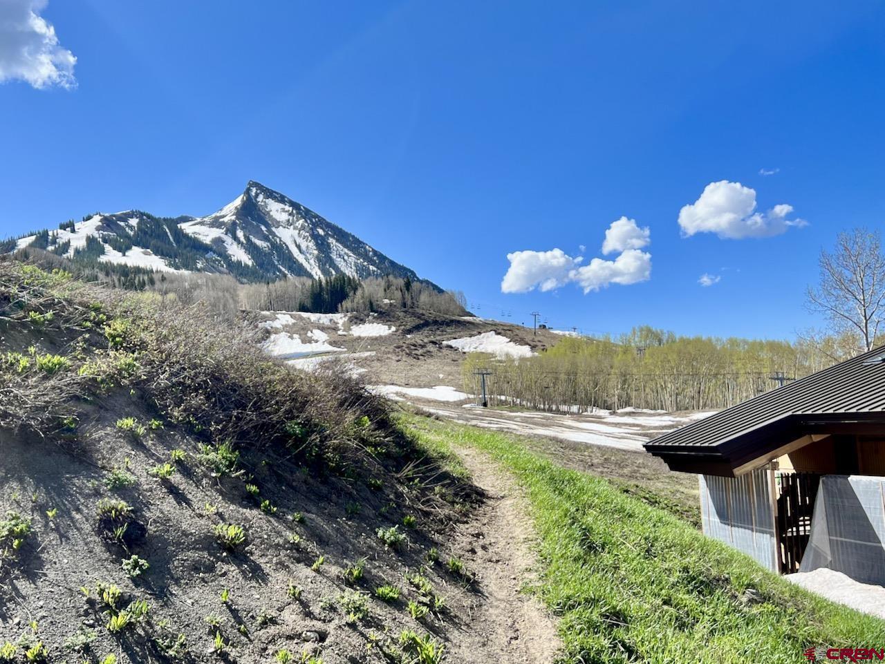 51 Whetstone Road, Unit 2306 Crested Butte, CO 81225 - Photo 38 of 44 a view of a backyard of a house with a mountain