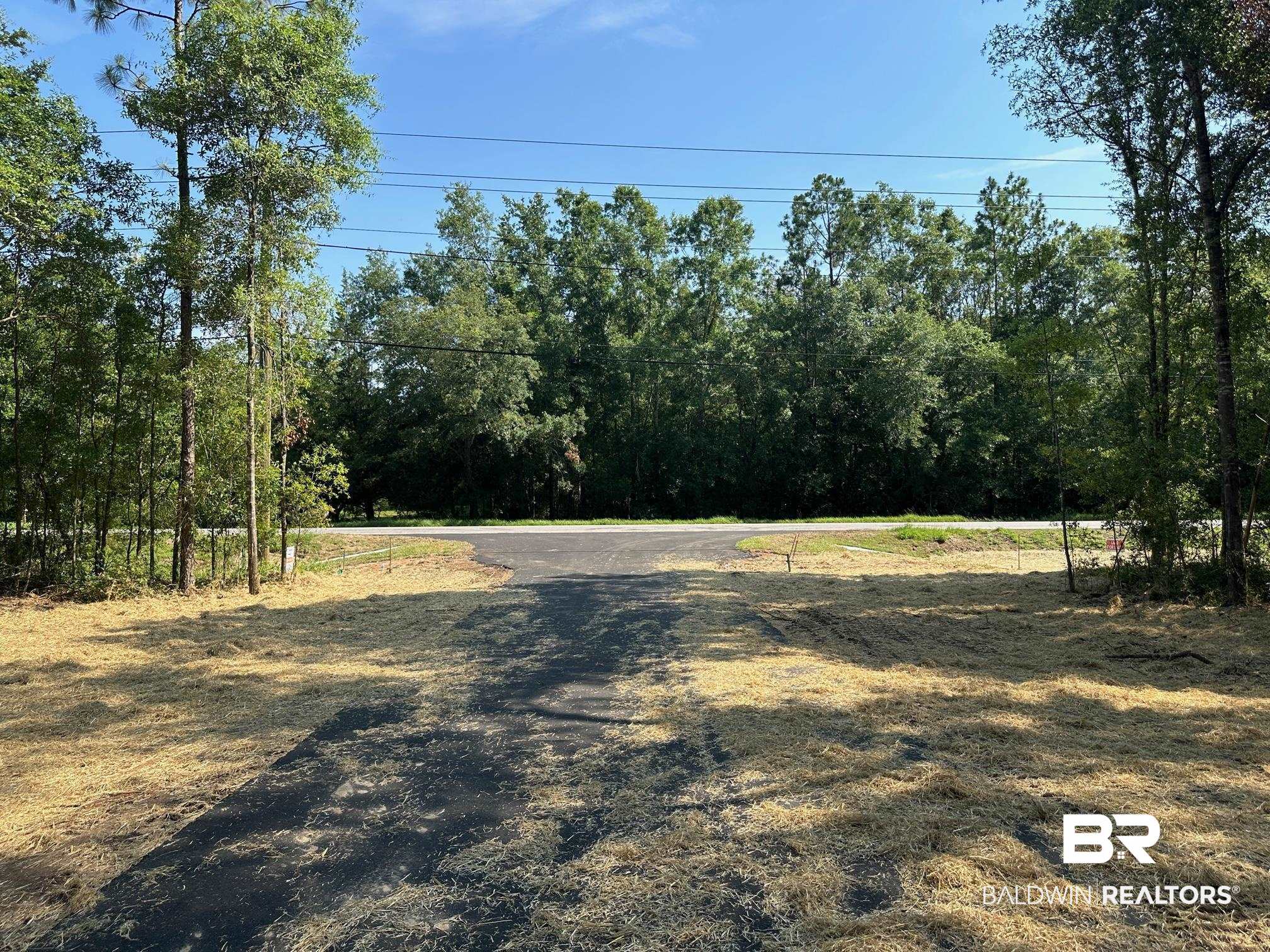 14356 State Highway Silverhill, AL 36576 - Photo 12 of 15