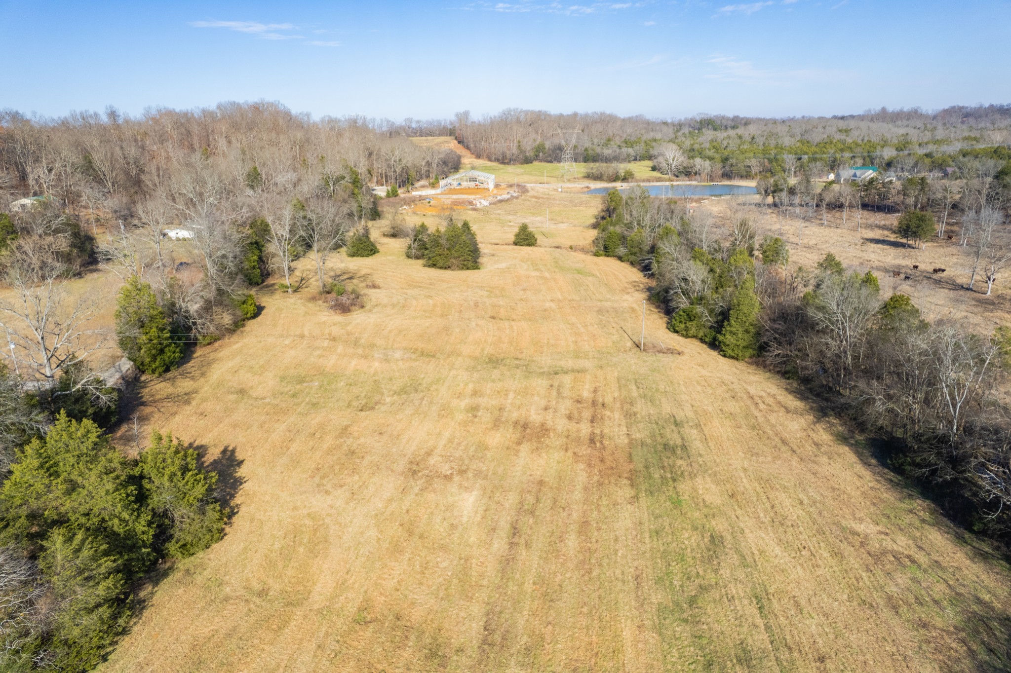 0 Clyde Foster Road Culleoka, TN 38451 - Photo 3 of 10 a view of a lake with a mountain in the back