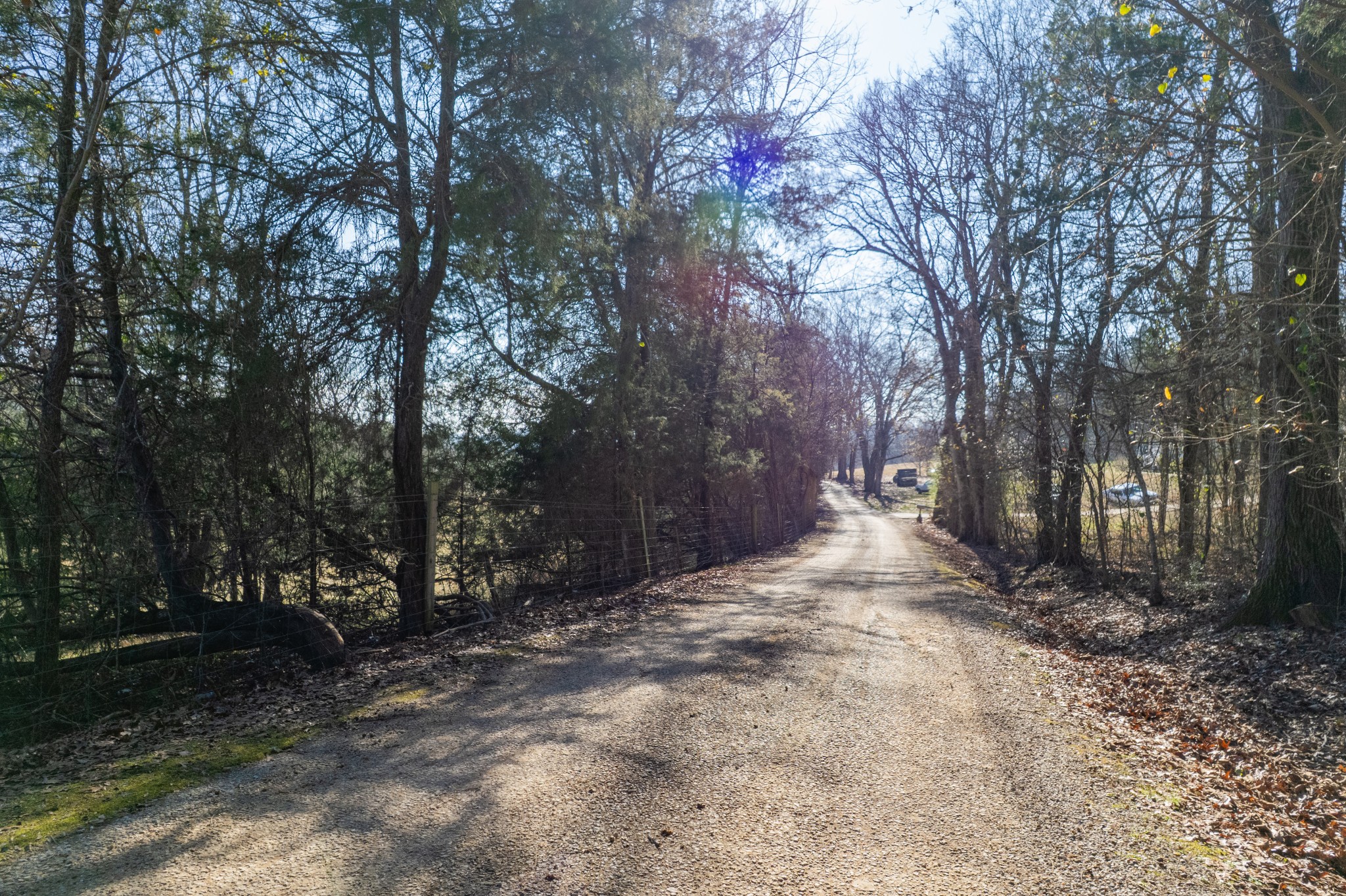 0 Clyde Foster Road Culleoka, TN 38451 - Photo 10 of 10 a view of outdoor space with trees
