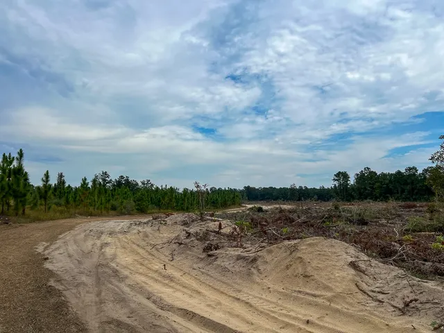 $81,200 | 2 Off Fm 1416, Bon Wier, TX 75928