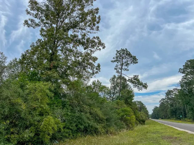 $81,200 | 2 Off Fm 1416, Bon Wier, TX 75928