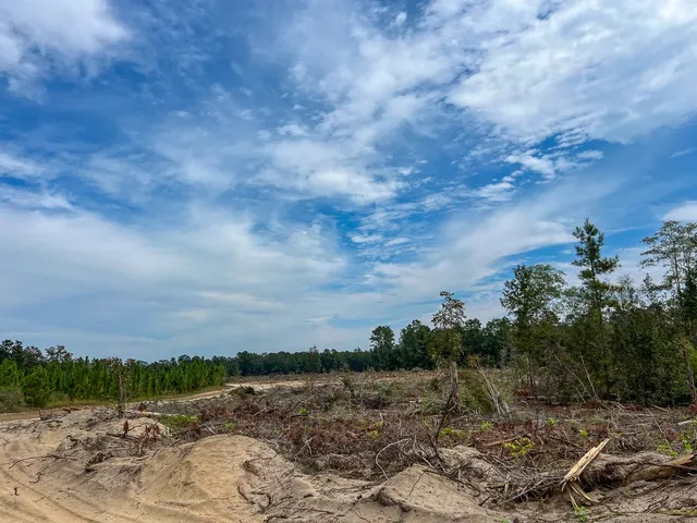 $81,200 | 2 Off Fm 1416, Bon Wier, TX 75928