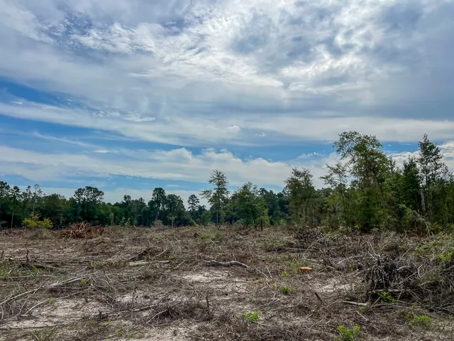 $81,200 | 2 Off Fm 1416, Bon Wier, TX 75928