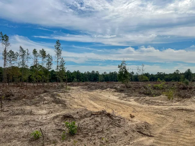 $81,200 | 2 Off Fm 1416, Bon Wier, TX 75928