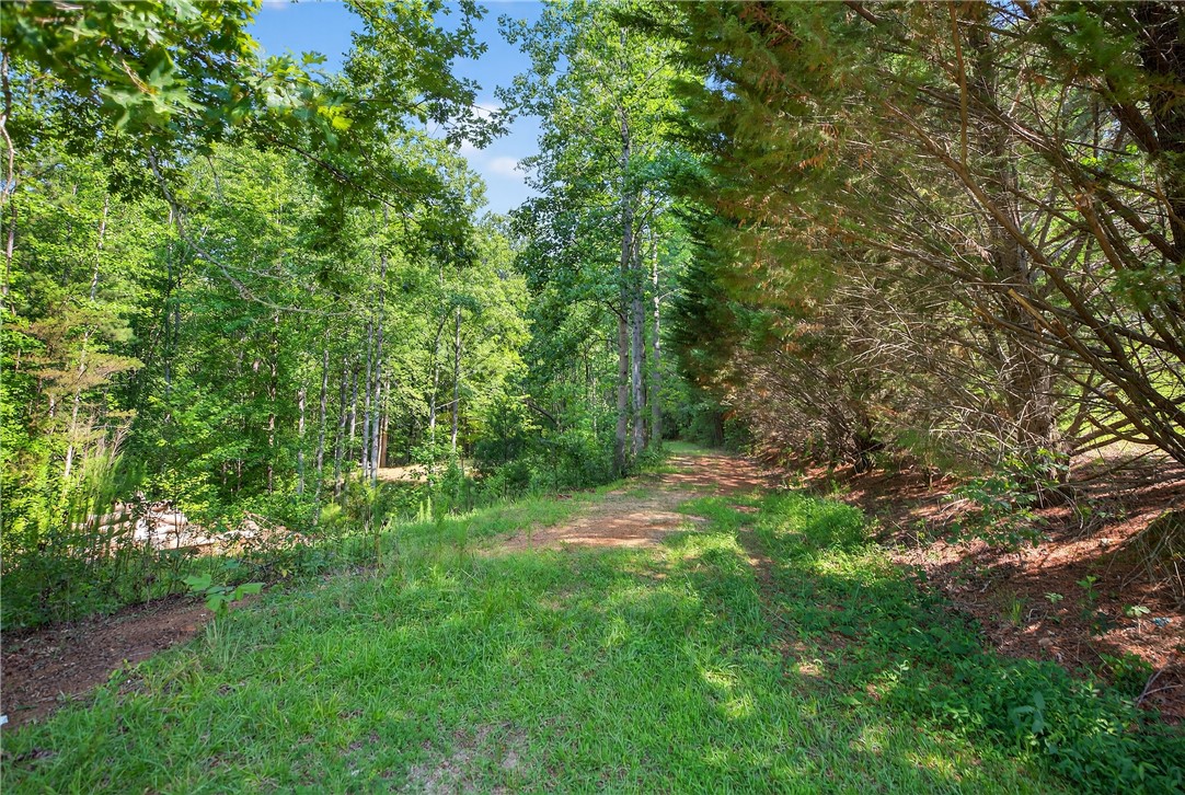 323 Indian Trail Salem, SC 29676 - Photo 44 of 50