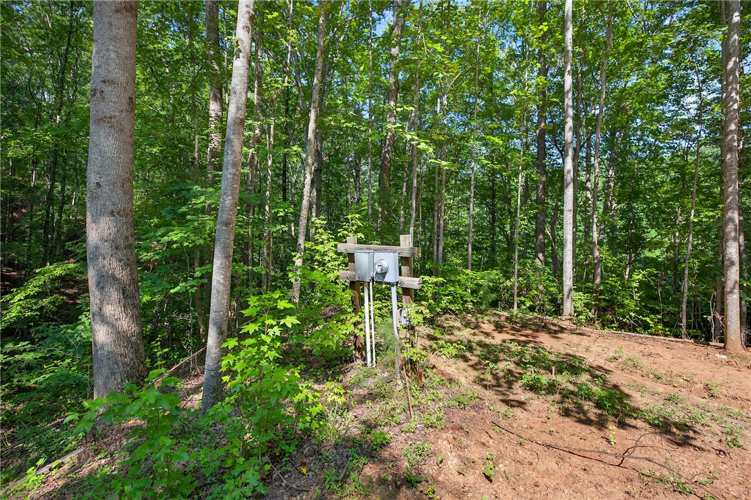 323 Indian Trail Salem, SC 29676 - Photo 47 of 50