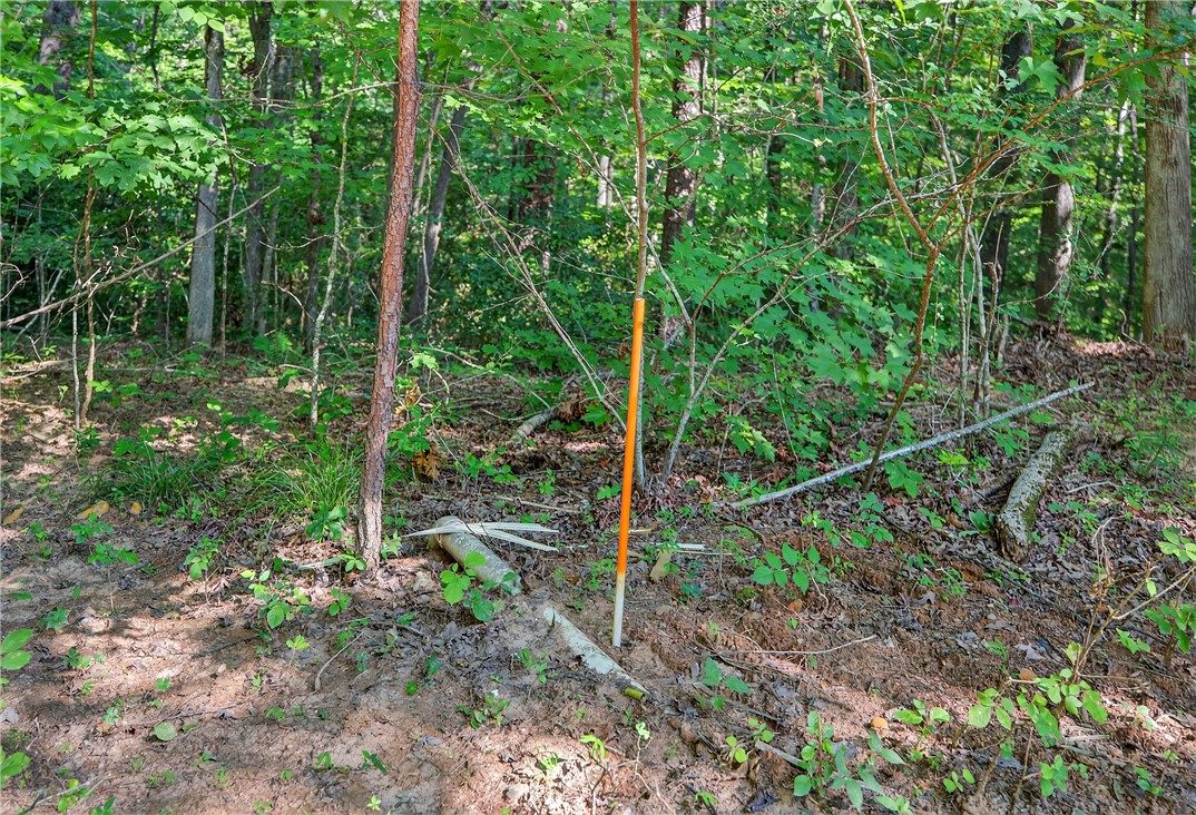 323 Indian Trail Salem, SC 29676 - Photo 48 of 50