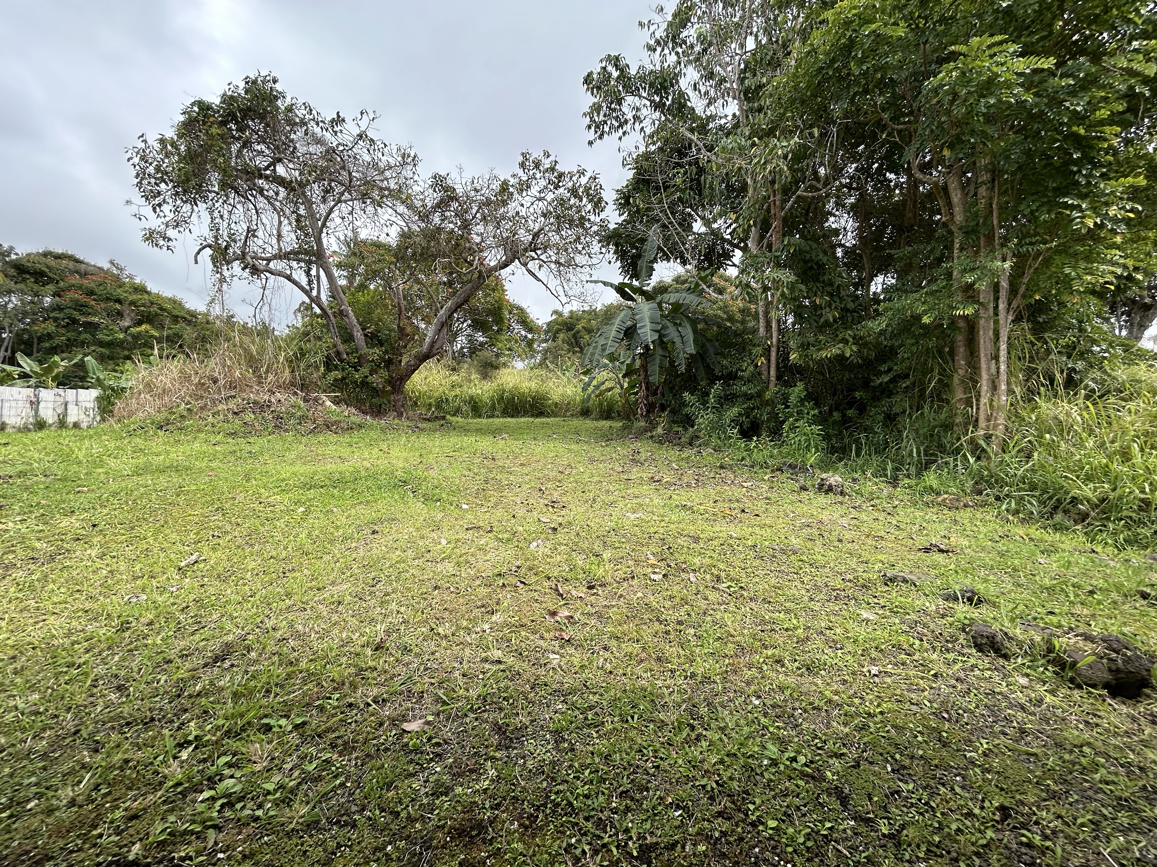 82-6136 D Road, Unit B Captain Cook, HI 96704 - Photo 19 of 30 a view of a field with a tree