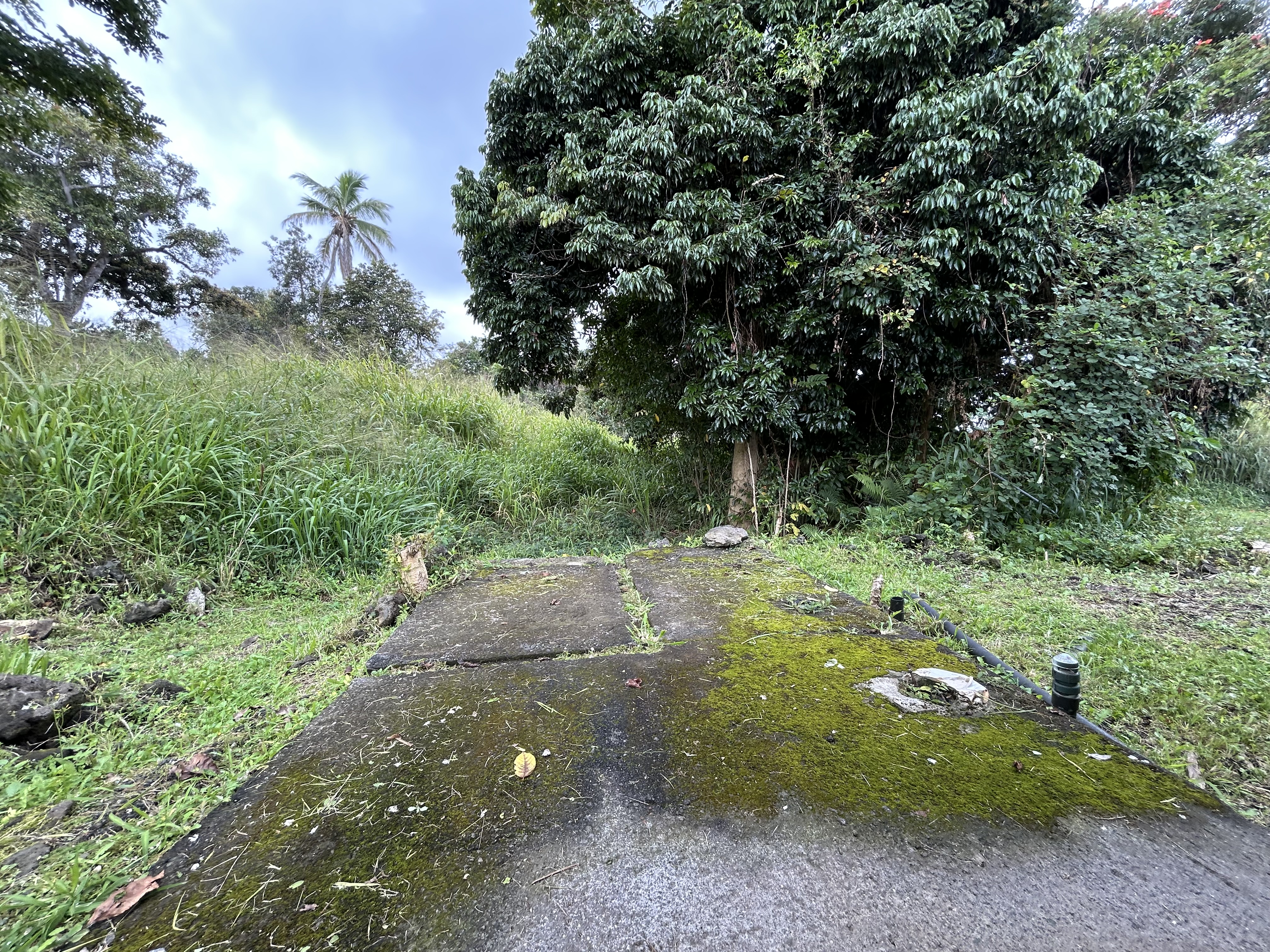 82-6136 D Road, Unit B Captain Cook, HI 96704 - Photo 23 of 30 a view of outdoor space and yard