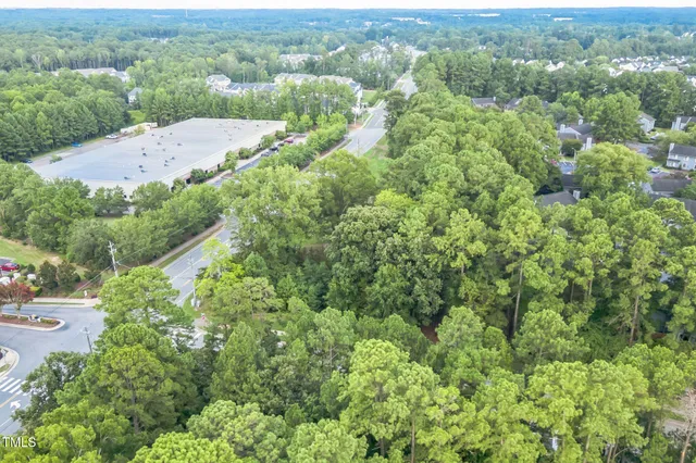 an aerial view of green landscape with trees houses and mountain view