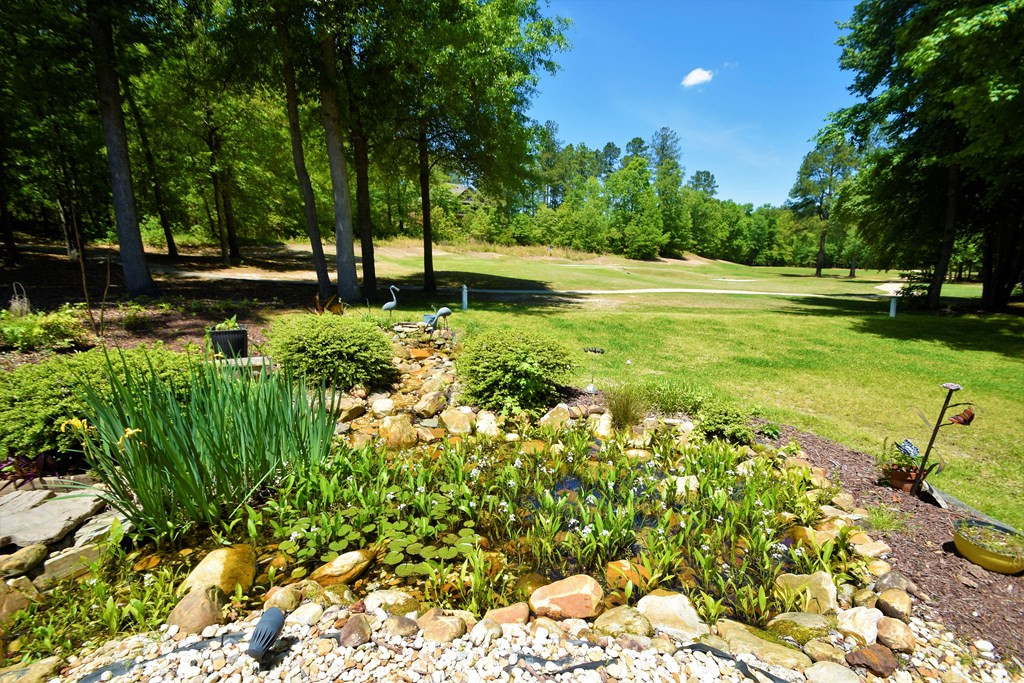 142 Chelsea Court Aiken, SC 29803 - Photo 29 of 31