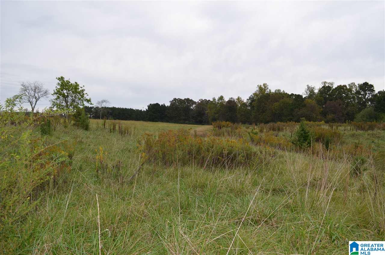 3370 Smith Mill Road Trafford, AL 35172 - Photo 1 of 15 Gallery Image 1