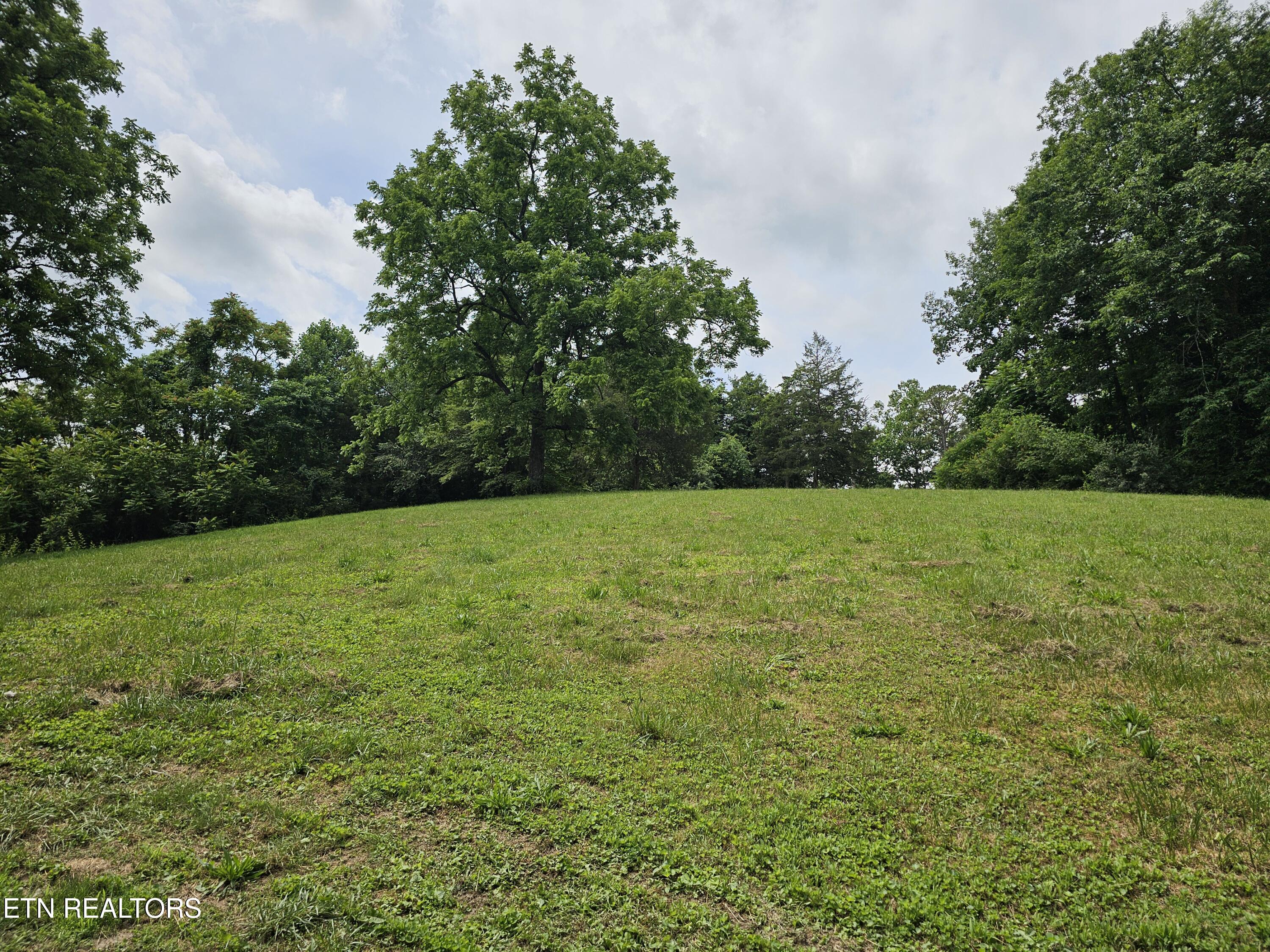 264 Old Long Hollow Road La Follette, TN 37766 - Photo 5 of 26 20260616_121341