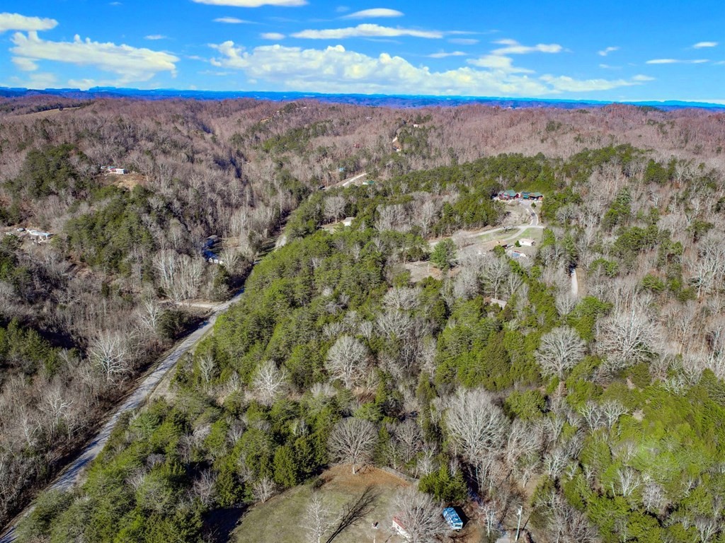 406 Clearwood Road Newport, TN 37821 - Photo 27 of 33 Gallery Image 27