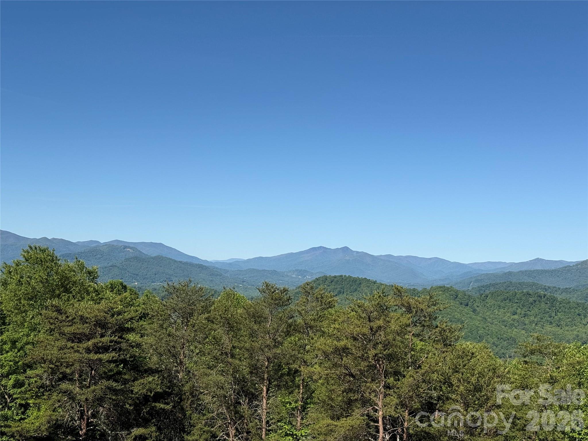 9999 Hunters Ridge Road Canton, NC 28716 - Photo 12 of 19