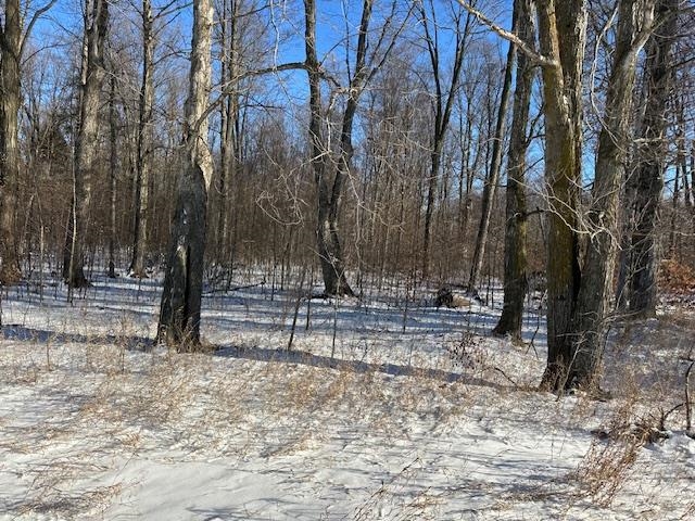 0 South Burkett Road McBain, MI 49657 - Photo 2 of 5 Gallery Image 2