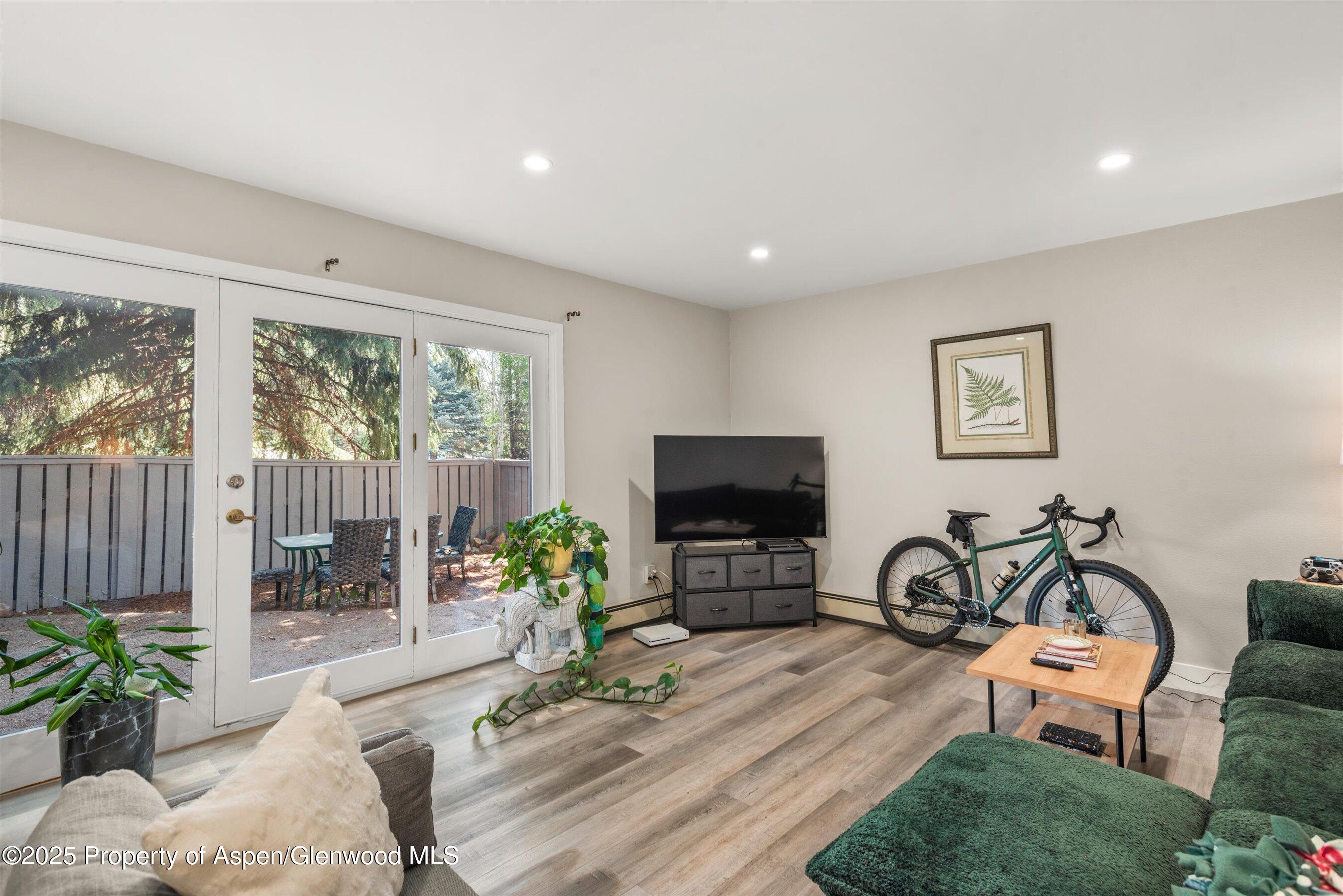 152 Wren Court Basalt, CO 81621 - Photo 5 of 11 Spacious Living Area